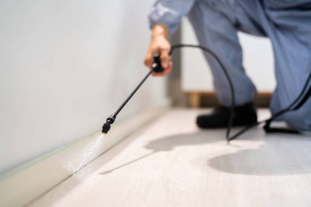 Licensed Termite Control service in Chester, MD - Nex Pest Control