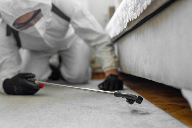 Professional Termite Control technician working in Chester, MD