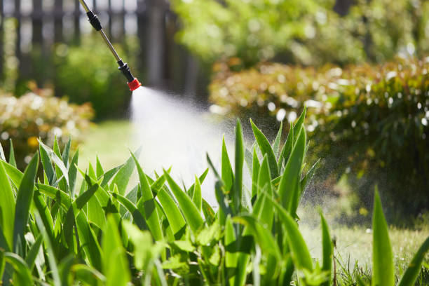 24/7 Emergency Termite Control experts in Chester, MD