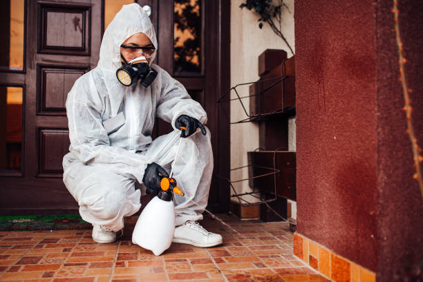 Reliable Termite Control contractor in Chester, MD by Nex Pest Control